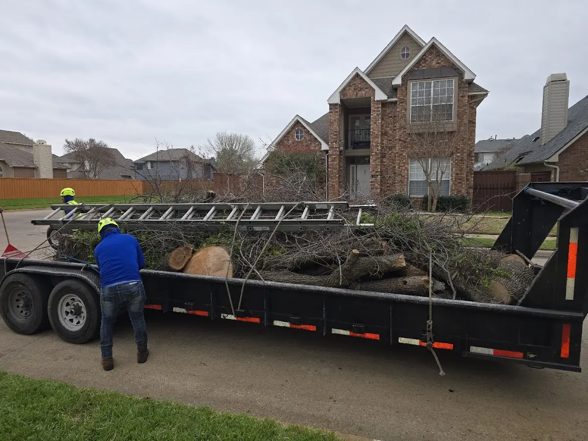 Expert Lot Clearing with proper safety equipment in Fowler